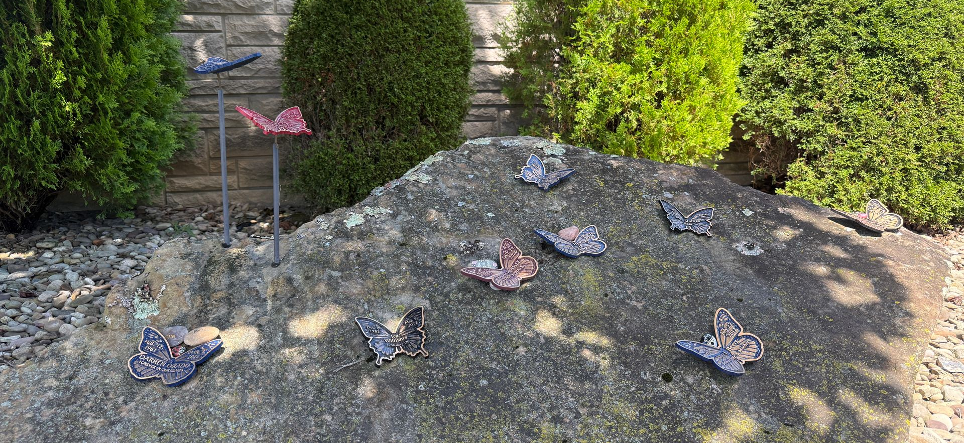 Rocky garden mound with several pink butterfly decorations beside trimmed hedges