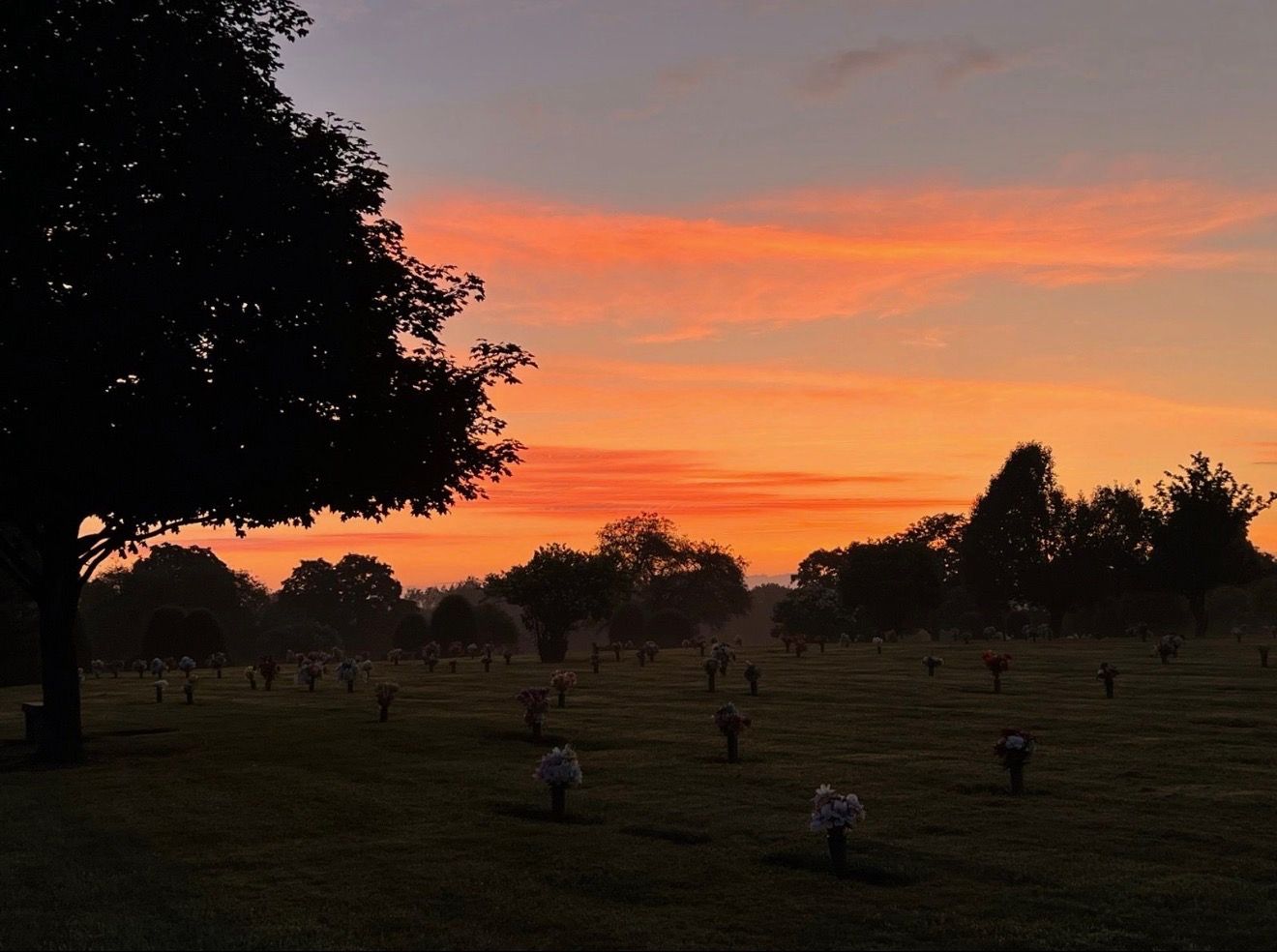 Sunset over a grassy field with scattered people silhouetted against an orange-pink sky.