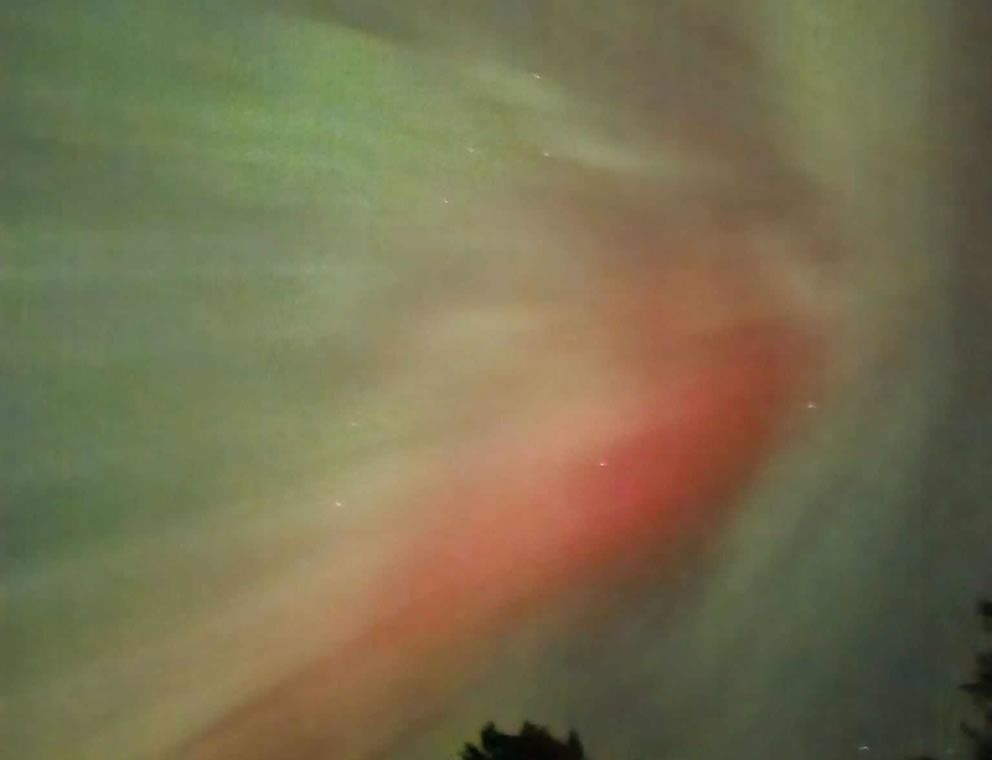 Blurry red and green aurora-like light streaks across a night sky above dark trees