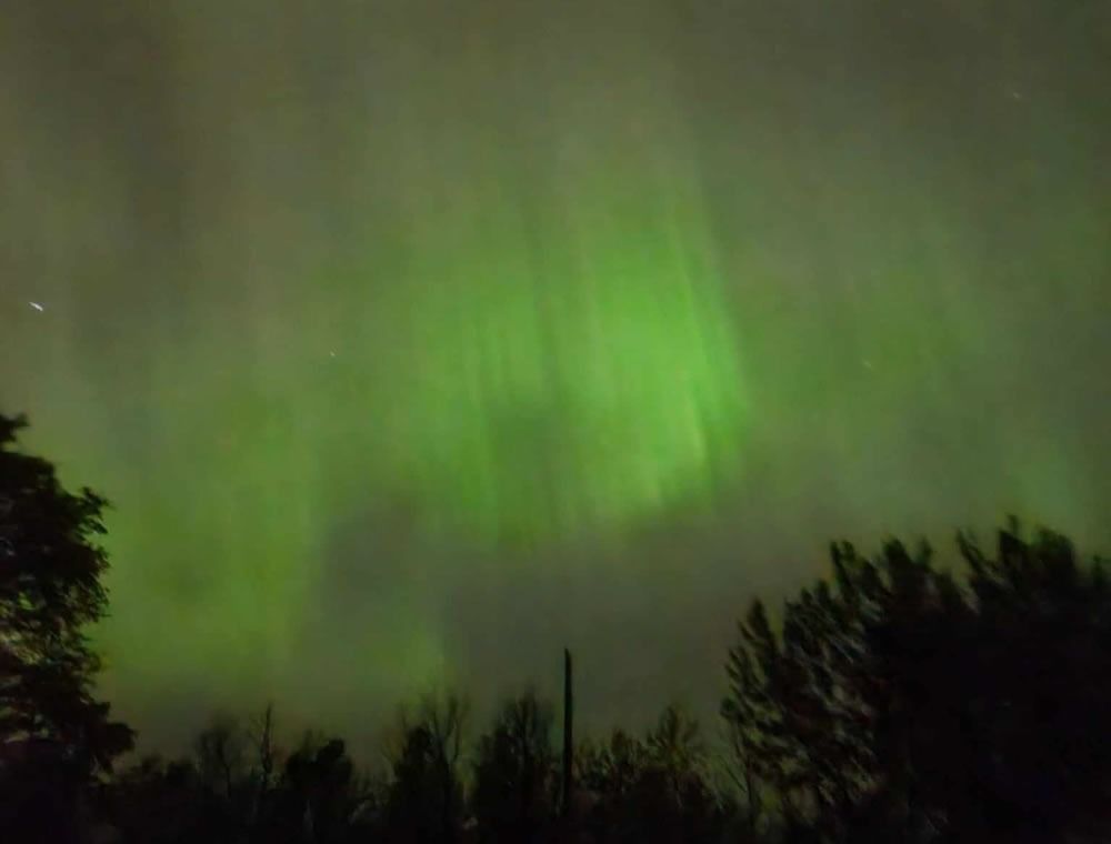 Green aurora glowing in a cloudy night sky above dark tree silhouettes
