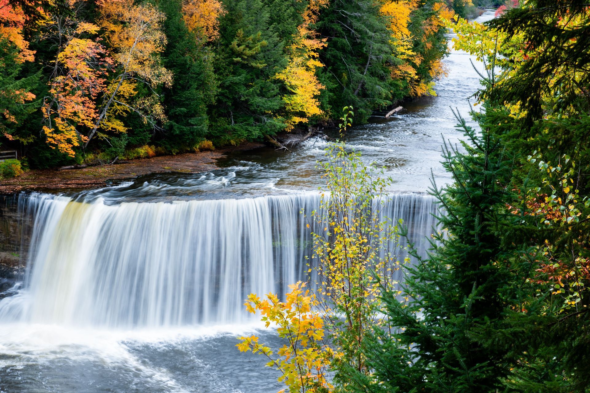 Autumn waterfall flowing through a forest with colorful fall foliage and evergreens