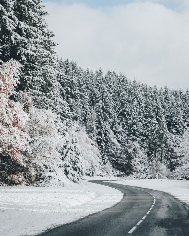 A snowy road going through a snowy forest
