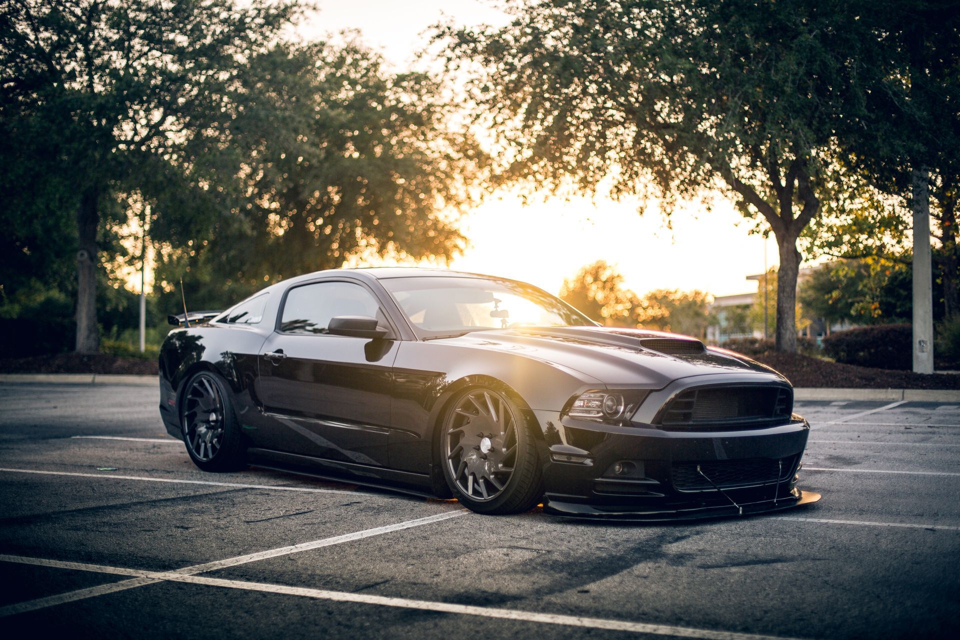 A black mustang is parked in a parking lot with trees in the background.