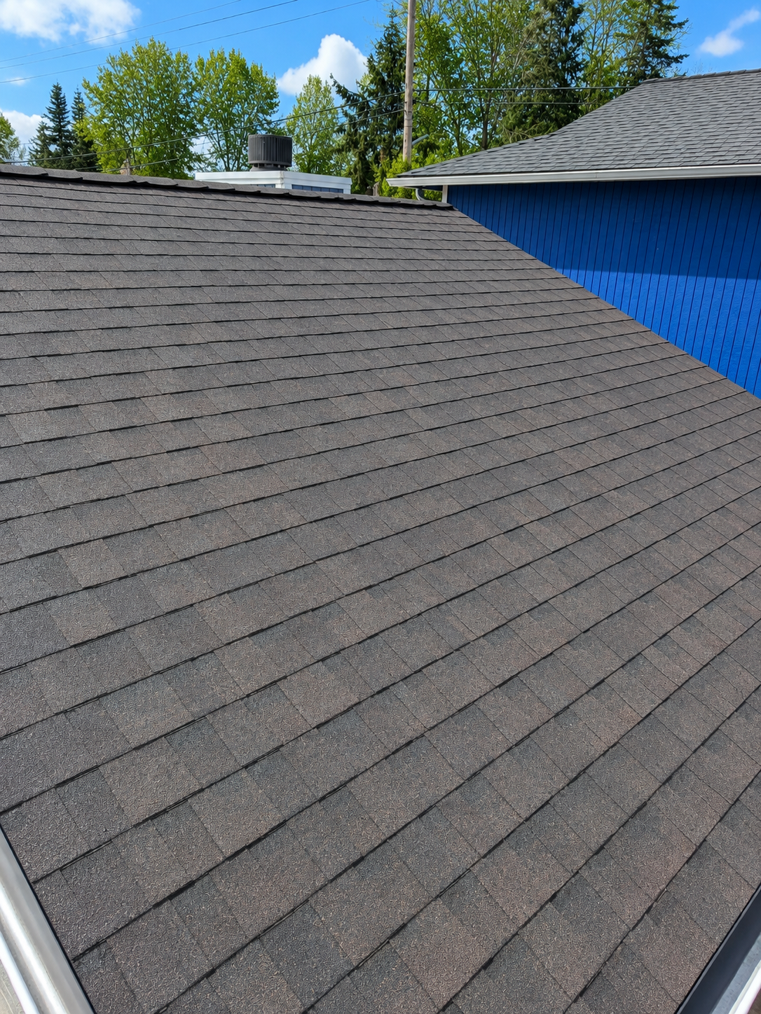 Gray shingled roof beside a blue house with trees and blue sky in the background