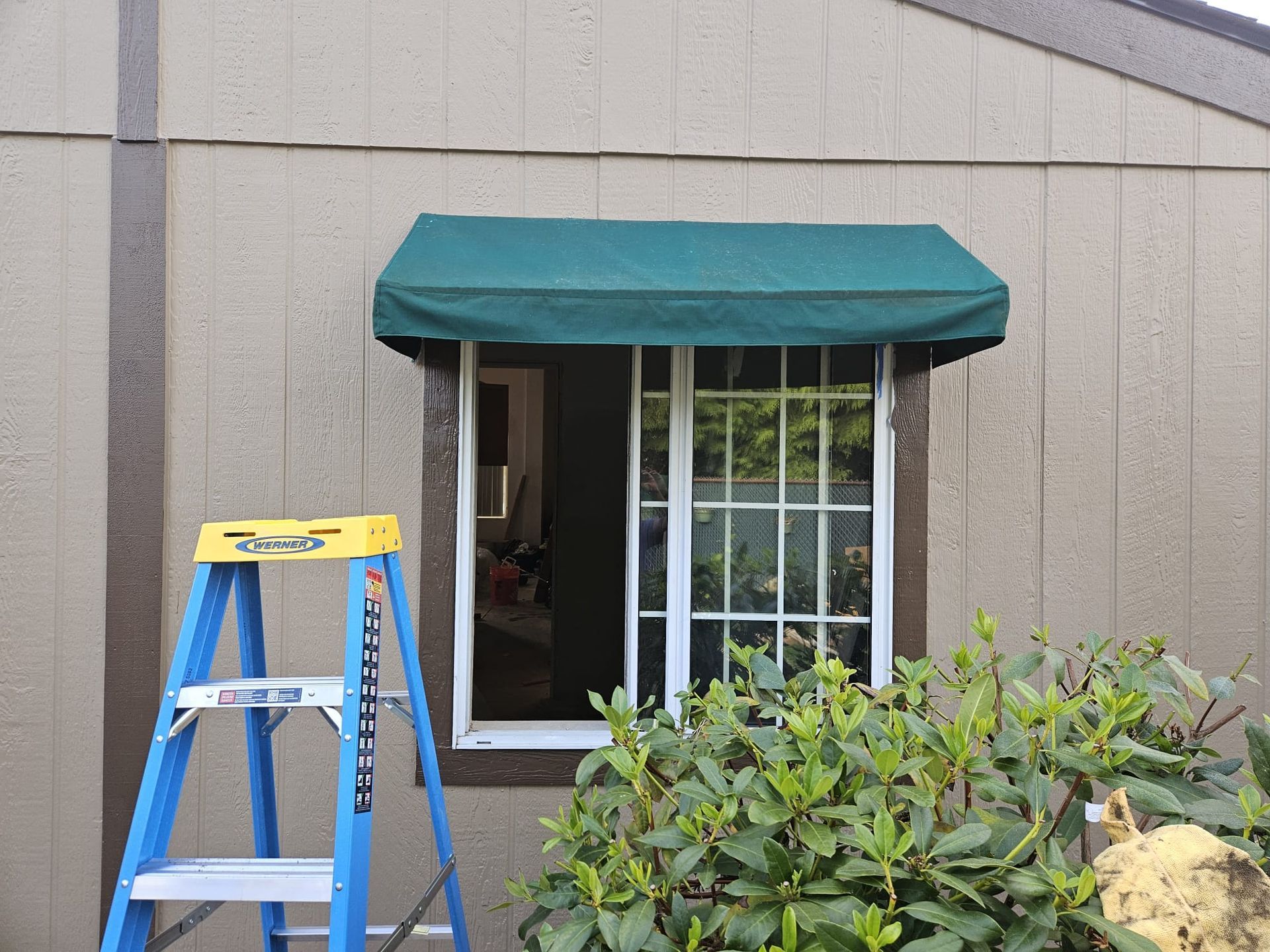 Blue ladder beside a window with green awning on a beige building, with shrubs in front.
