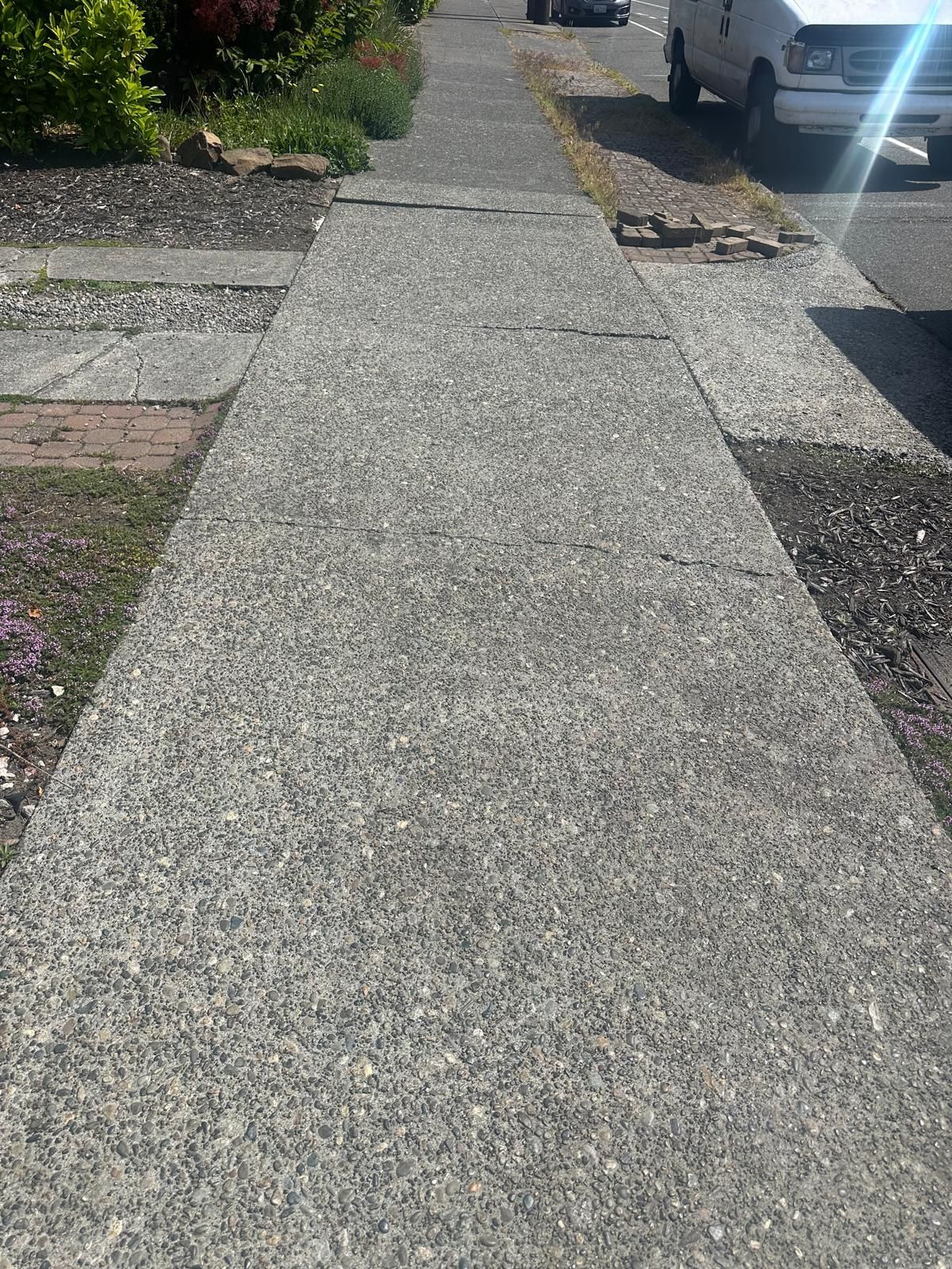 Concrete sidewalk path leading through a residential garden area in bright sunlight