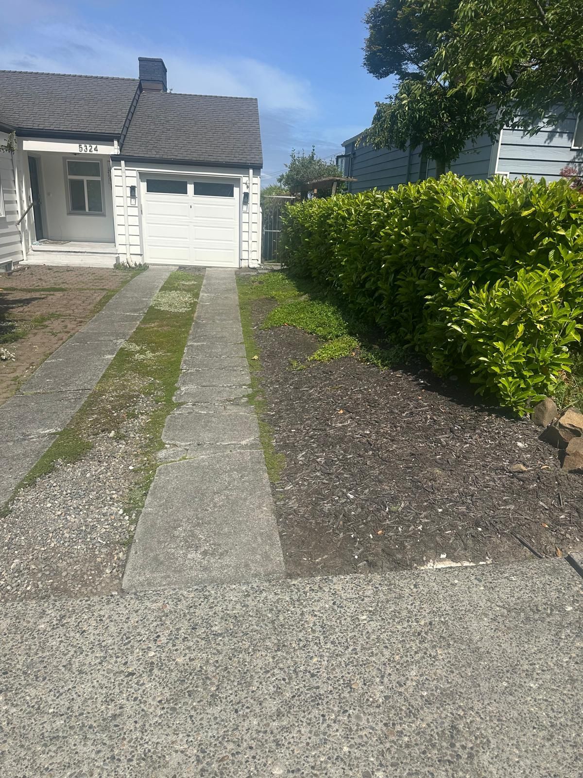 Narrow stone driveway leading to a small white house with a hedge on the right under a sunny sky