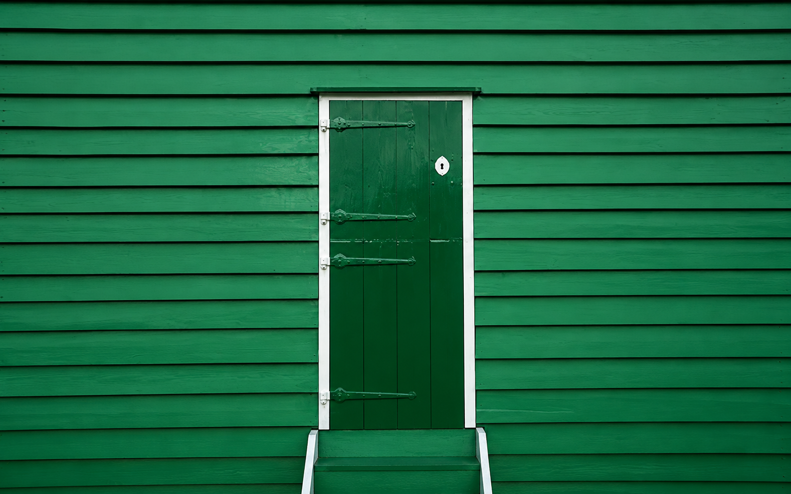 Green door with white trim on a green horizontal siding wall