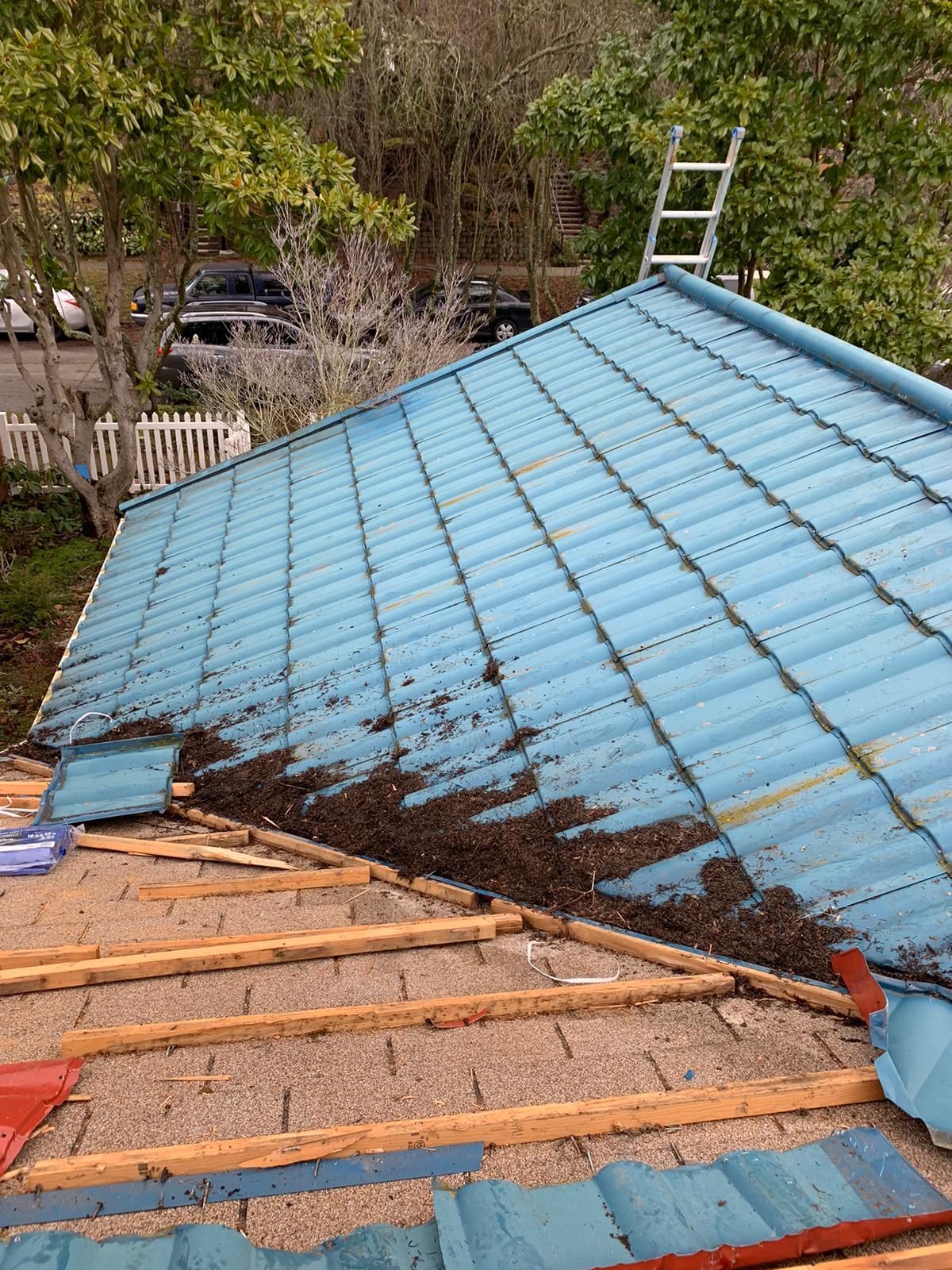 Blue tiled roof partly exposed under repair, with wooden slats visible and a ladder in the background.