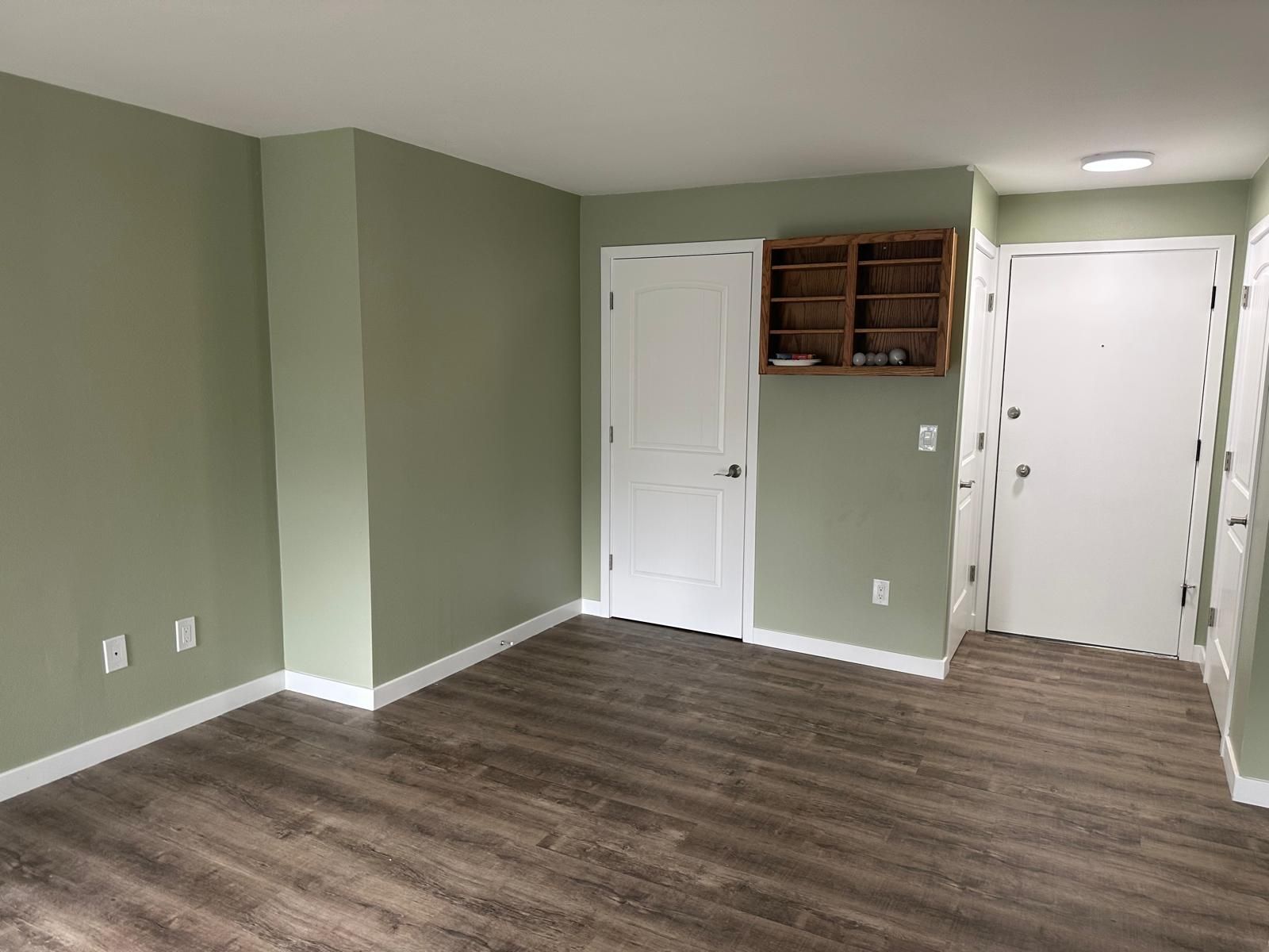 Empty room with green walls, wood flooring, two white doors, and a built-in cabinet.