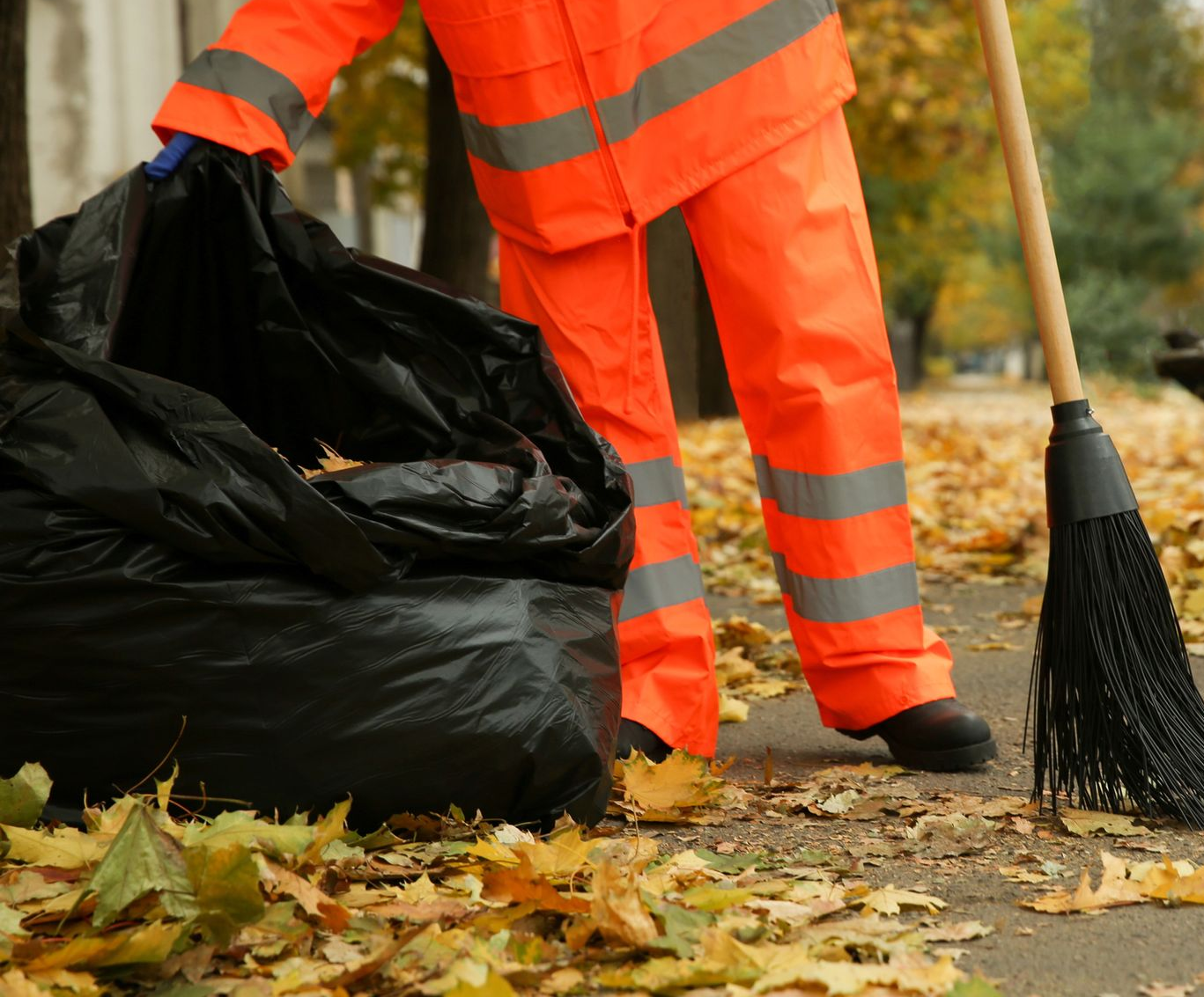 Municipal Clean Up