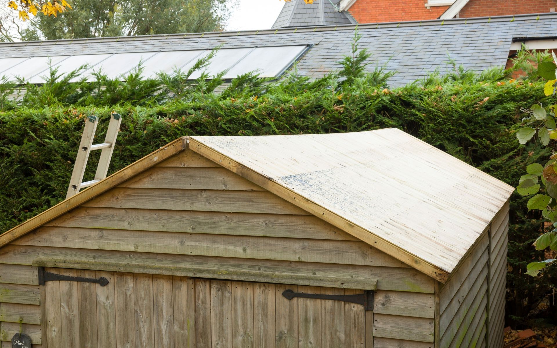 An aging wooden storage shed with an exposed plywood roof sitting in a residential backyard prepared for professional demolition and removal services.