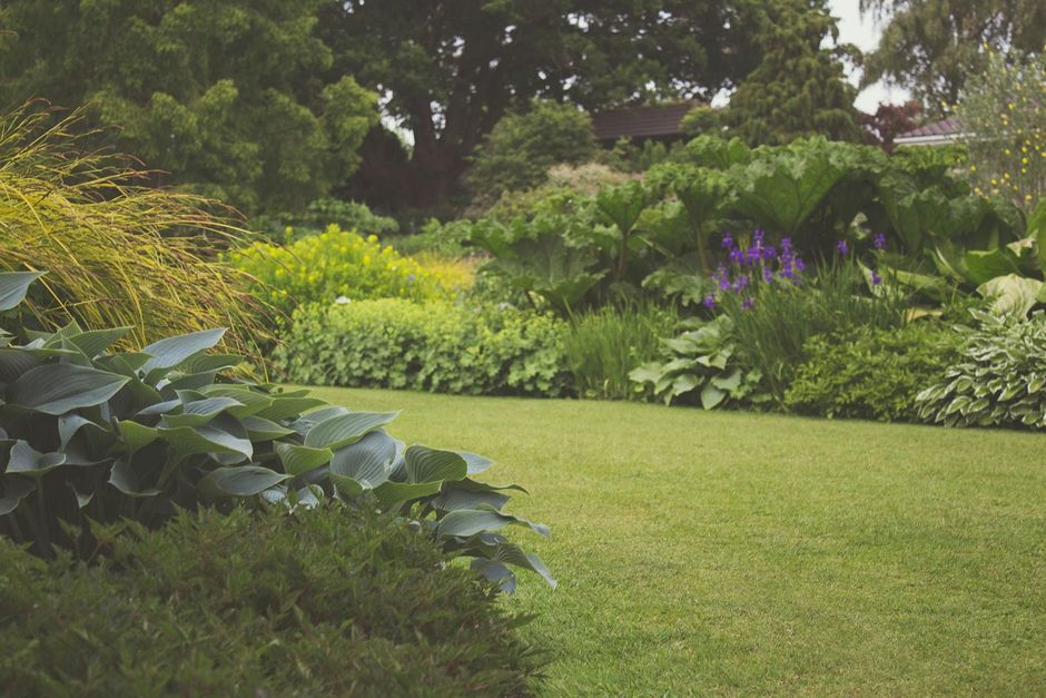 Lush garden with green lawn, shrubs, and purple flowers under trees