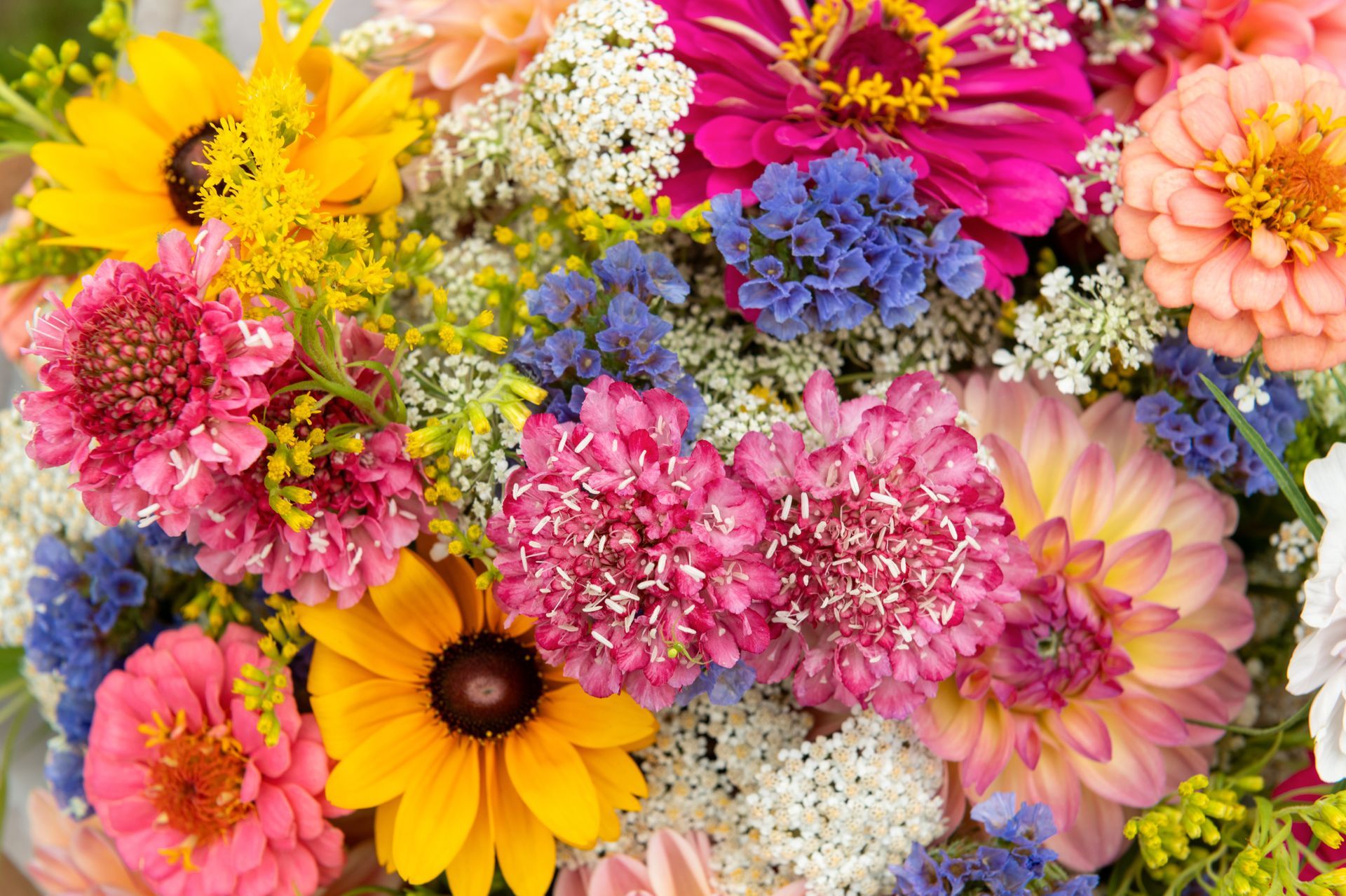 A lush, vibrant bouquet featuring yellow sunflowers, pink zinnias, blue statice, and delicate white filler flowers.