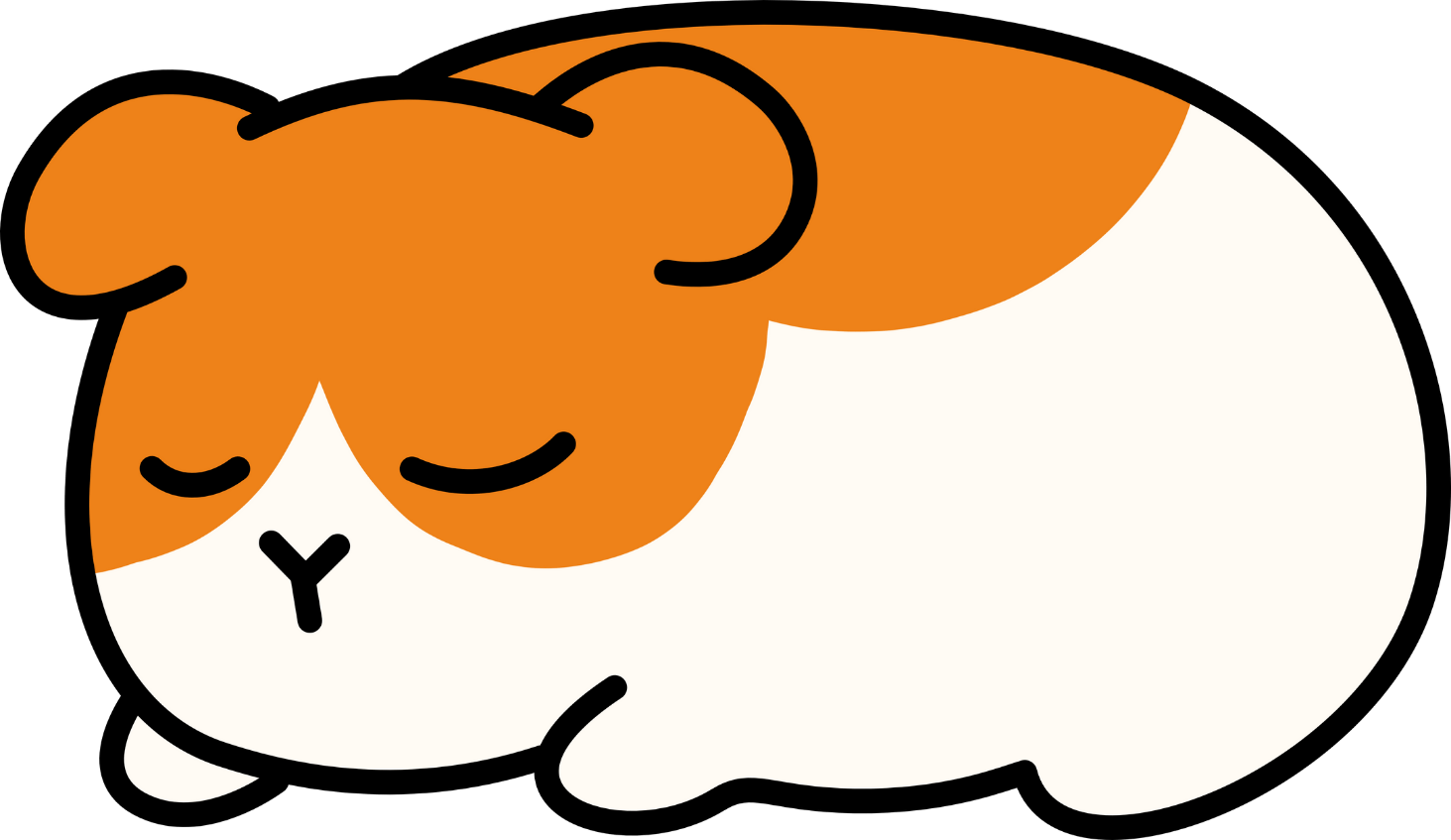 Sleeping guinea pig with orange and white fur, closed eyes.