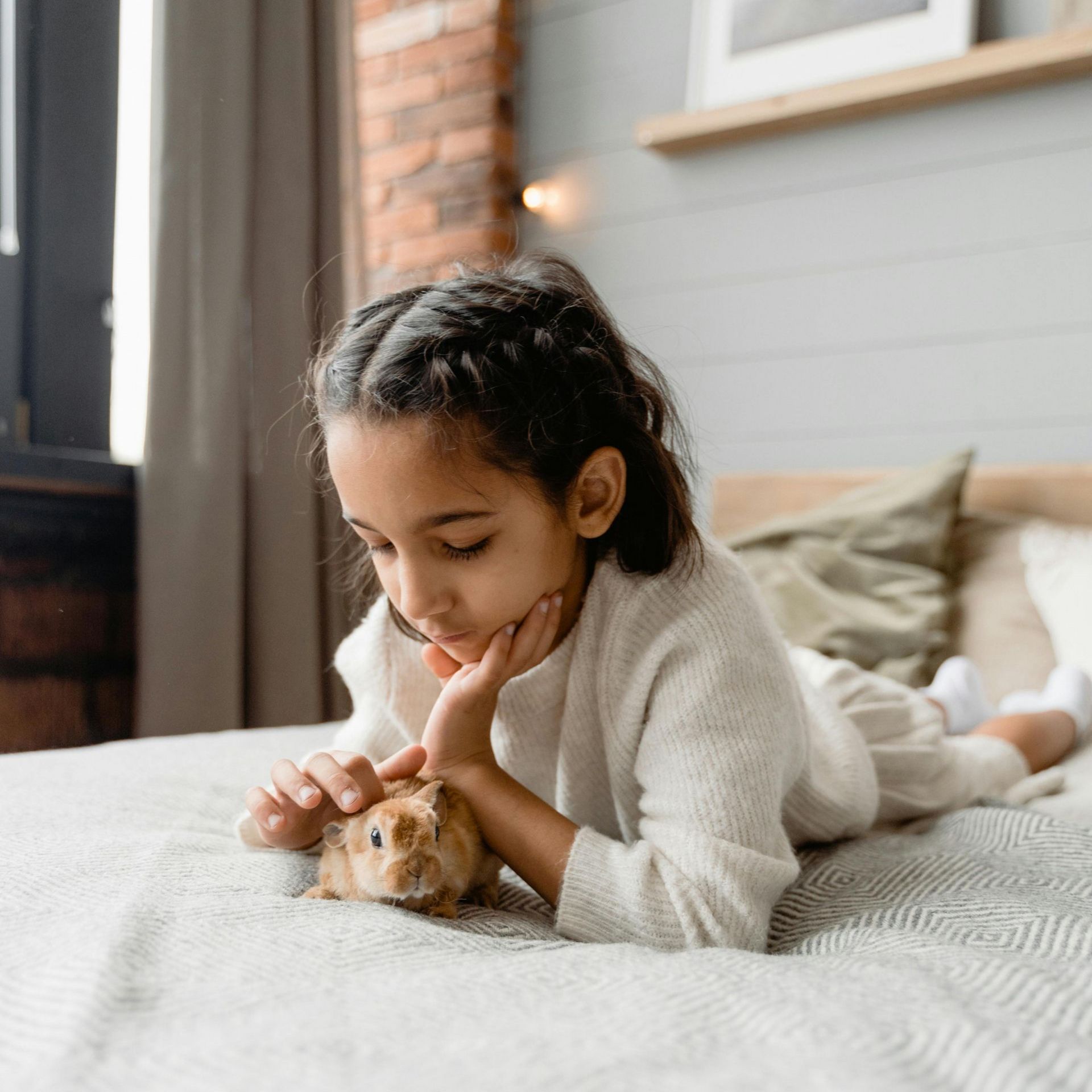 pet therapy in chicopee ma