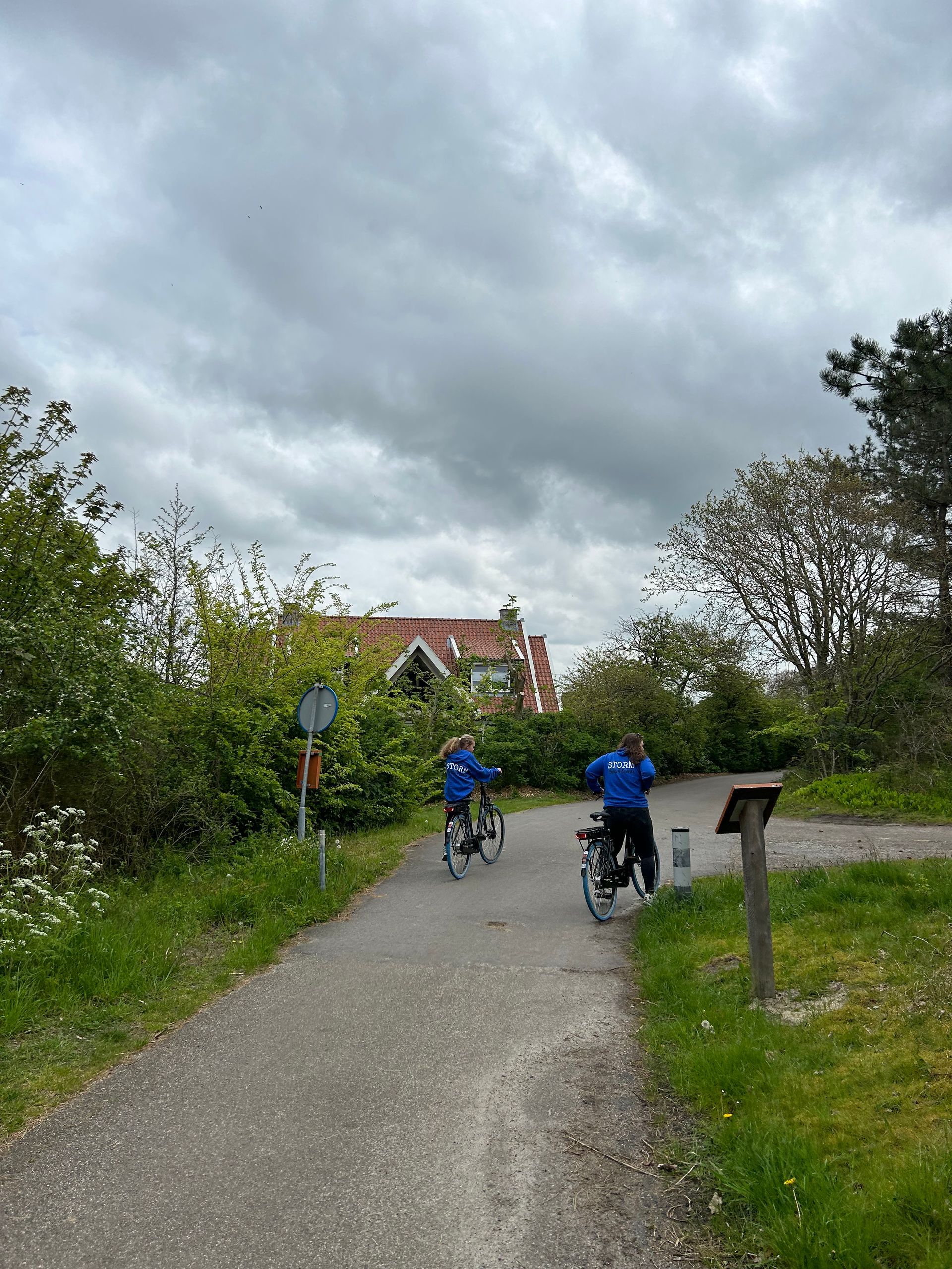 Een kronkelend zandpad door een zonnig bos met berkenbomen en paarse wilde bloemen.