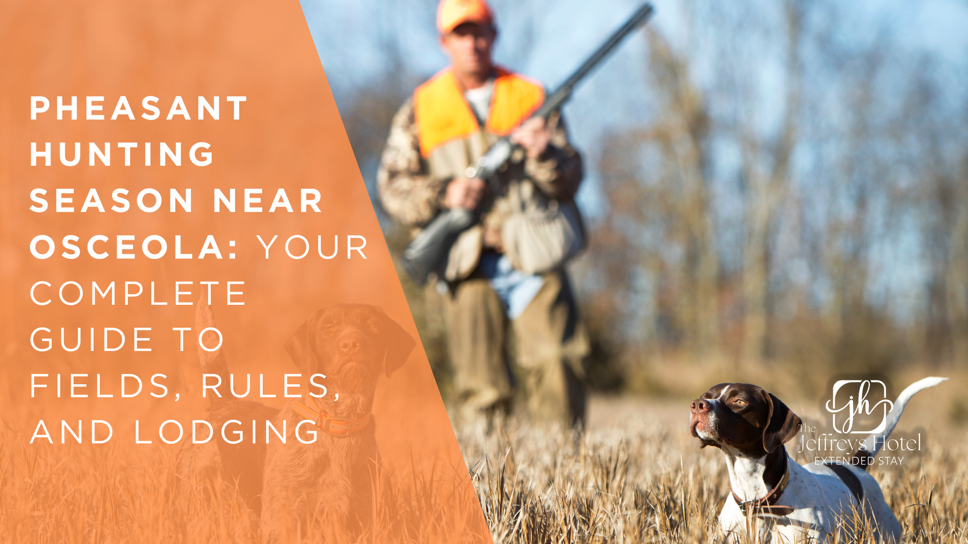 Pheasant hunting guide: Hunter with dog in field, orange vest, text overlay,