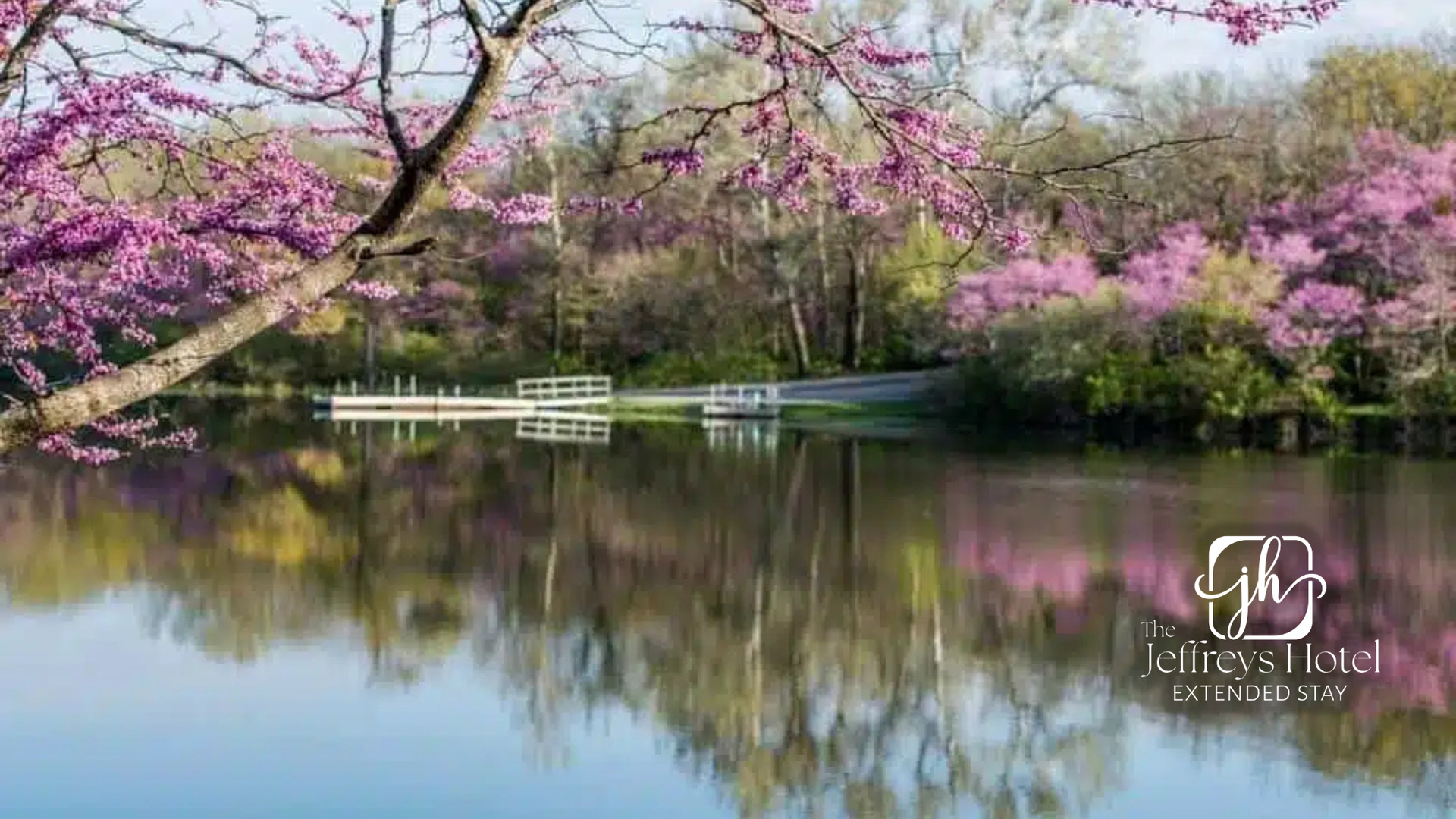 Pink flowering trees frame a calm lake reflecting the sky and blooms, a dock sits on the water.