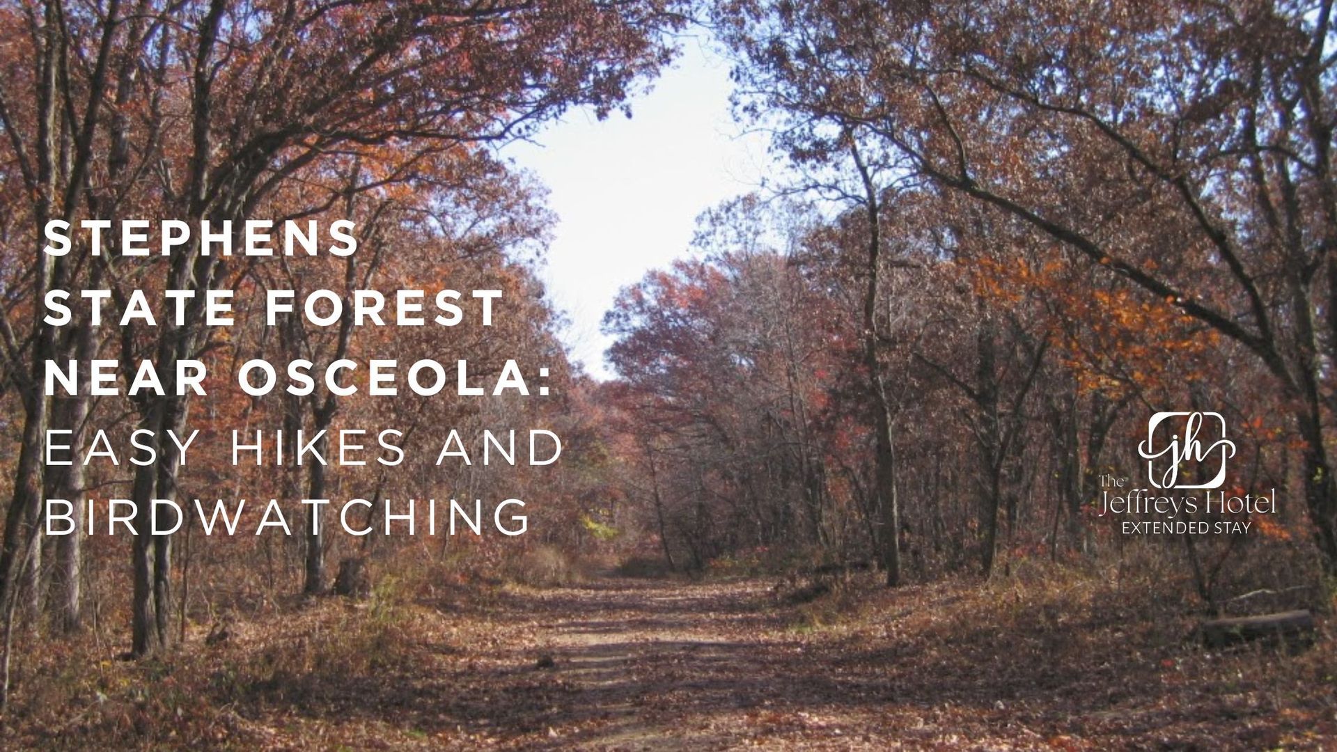 Path through autumn trees in Stephens State Forest, Osceola. Text: Easy hikes and birdwatching.