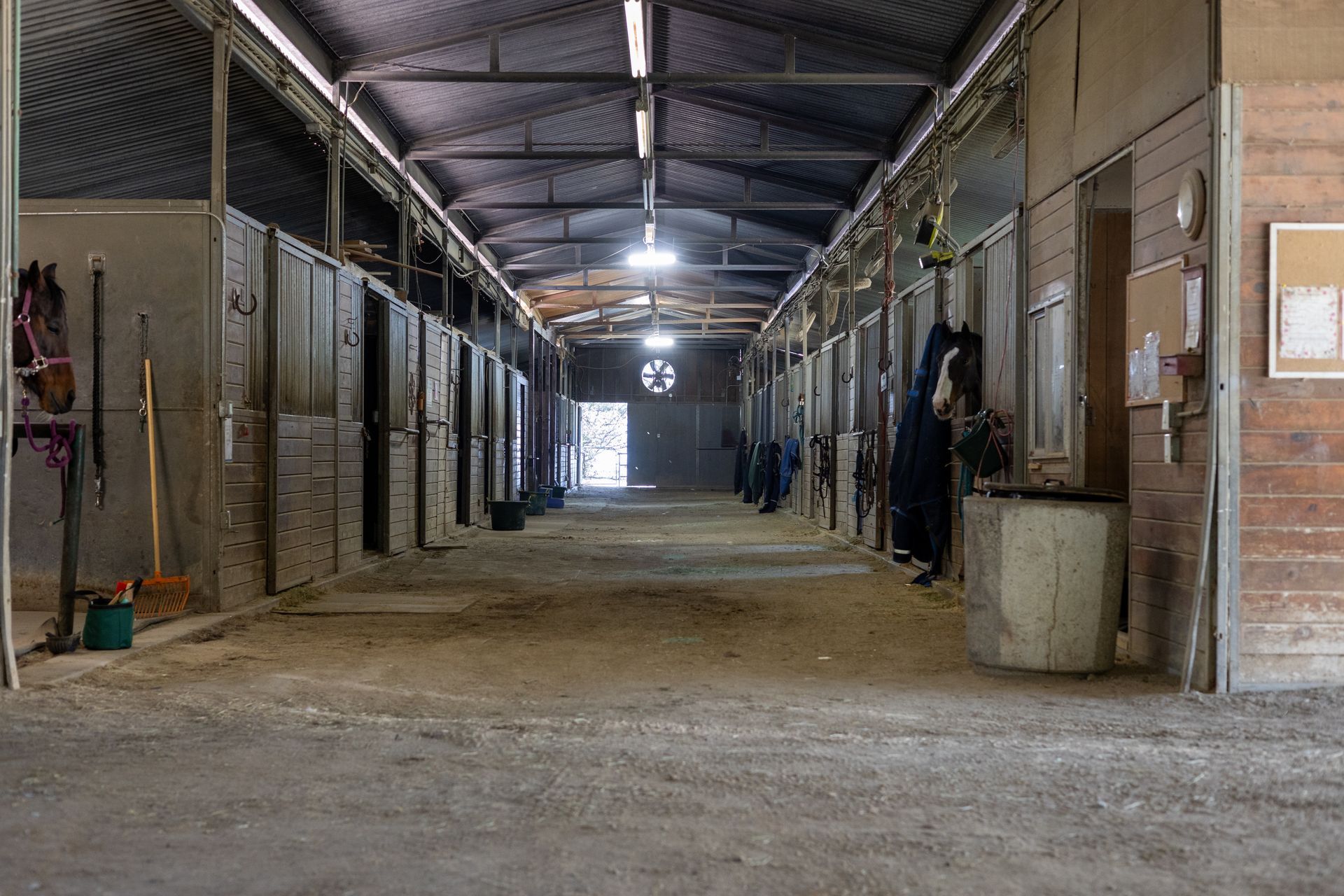 An empty stable with a lot of horses in it.