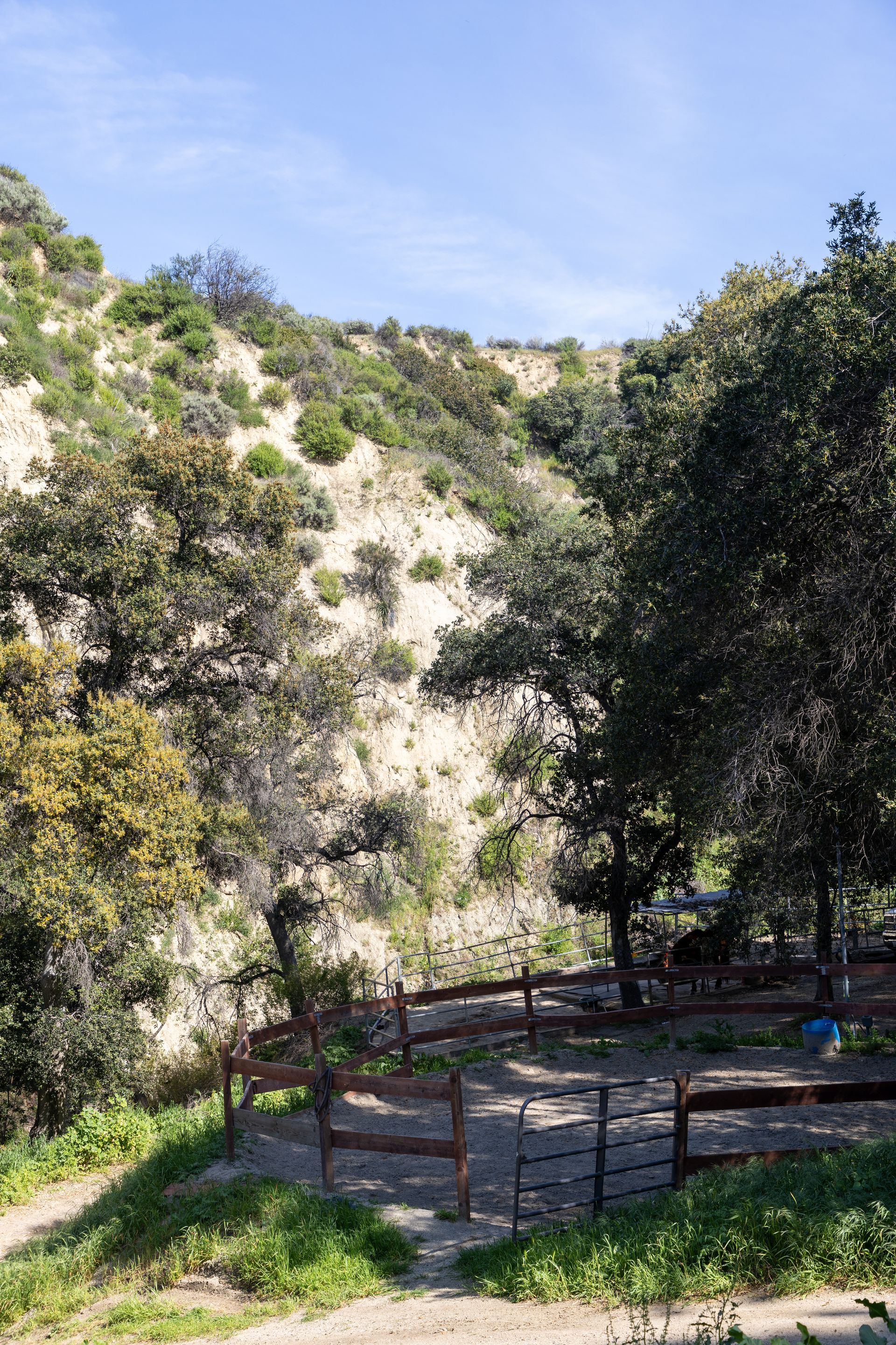A wooden fence is surrounded by trees and bushes on a hillside.