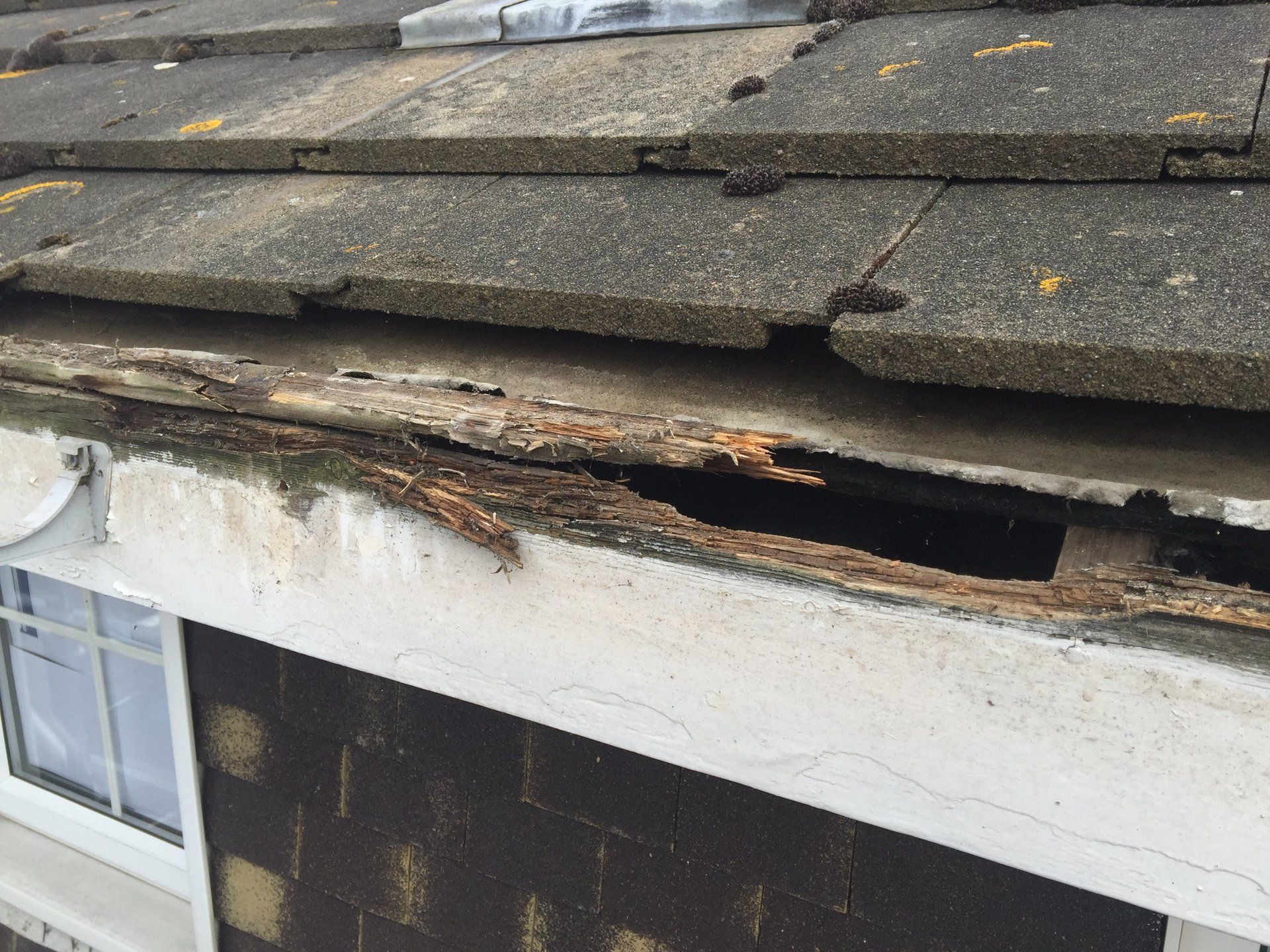 Rotten Fascias Boards