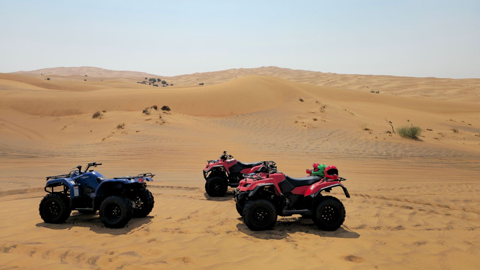 ATVs/UTVs