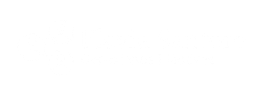 Flavia Santoro logo