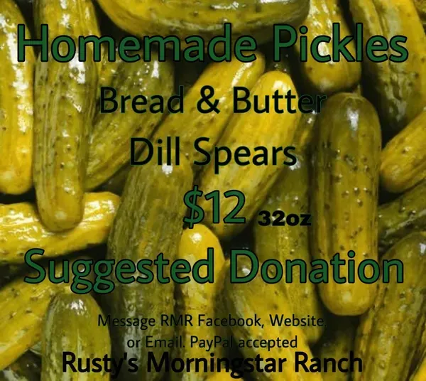 Homemade pickles bread and butter dill spears $ 12 32oz suggested donation