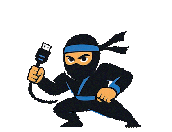 A cartoon ninja in a black and blue outfit crouching while holding a computer USB cable.