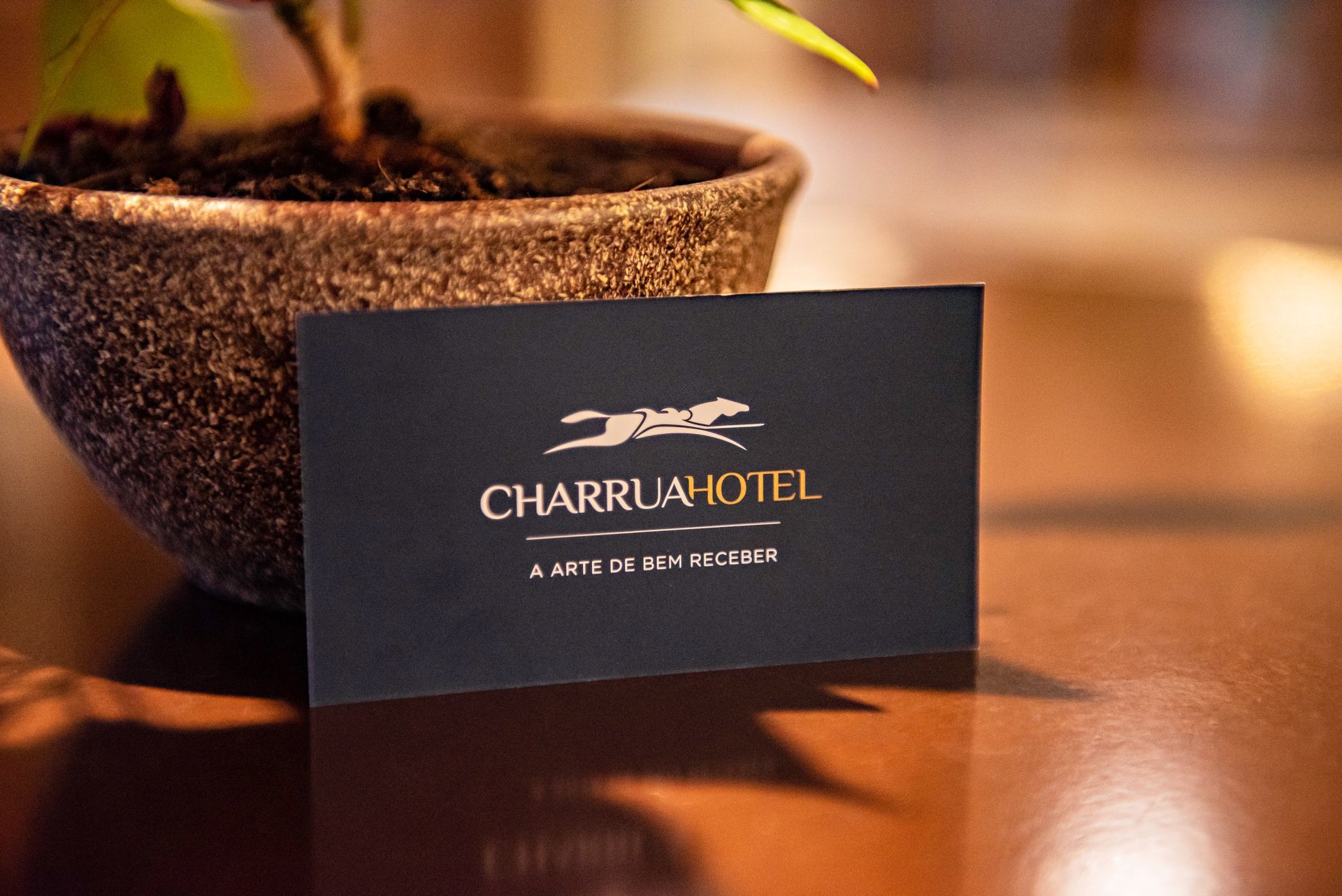 A business card for charrua hotel sits on a table next to a potted plant.