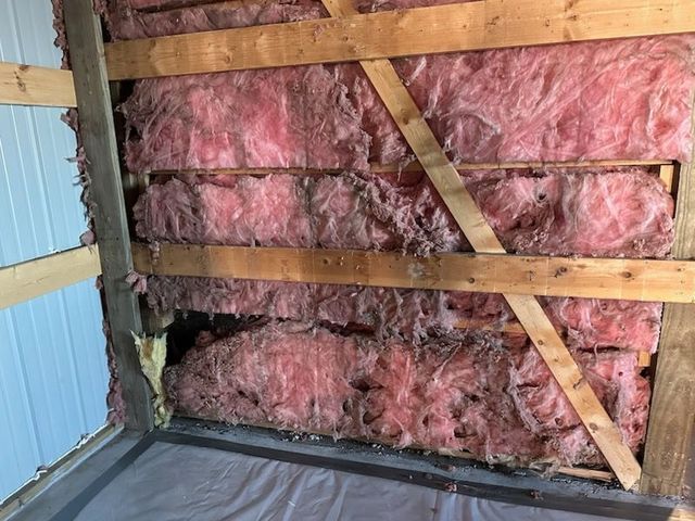 Partially finished wall with pink insulation, wooden braces, and blue siding on the left