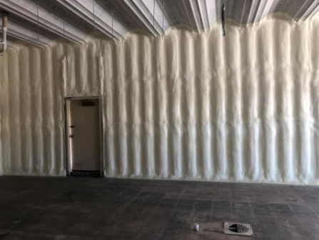 Empty industrial room with white insulated walls, a small door, and a dark floor