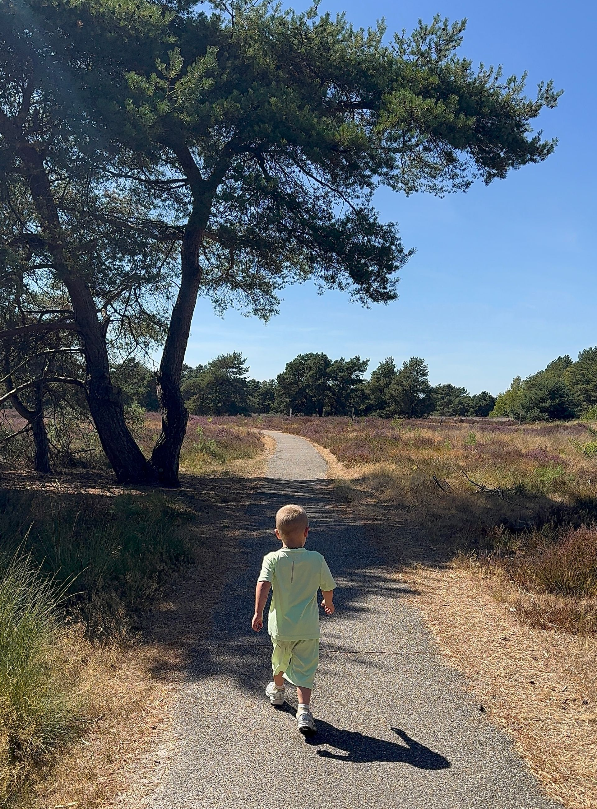 Child walking up a dirt path through a sunny grassy field under a blue sky
