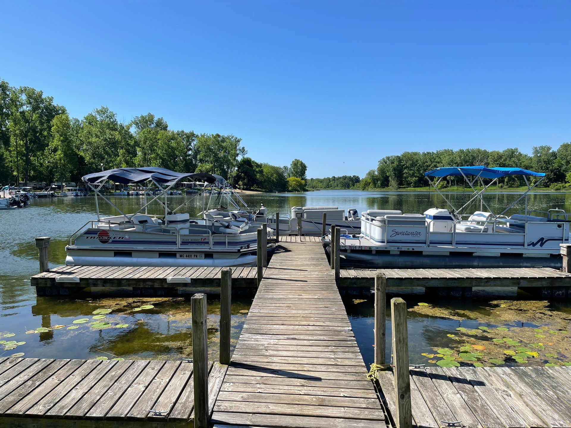 A row of pontoon boats are docked at a dock on a lake.