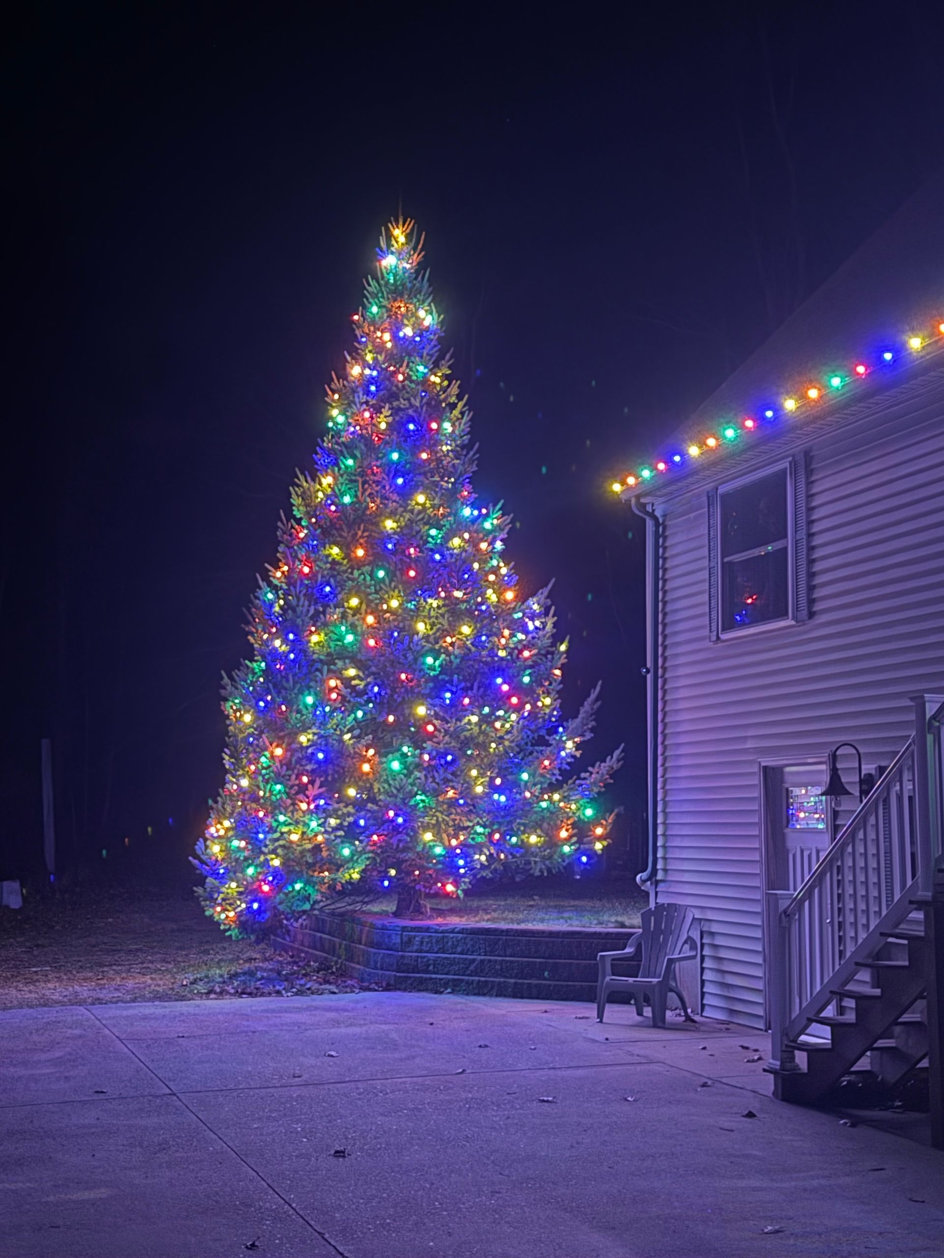 Large outdoor Christmas tree covered in multicolored lights beside a house at night