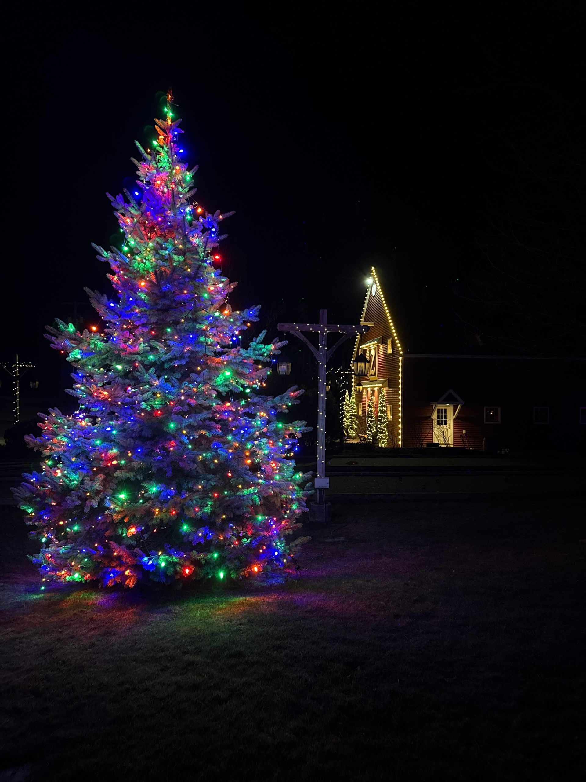 Two lit Christmas trees glowing at night, one multicolored in the foreground and one golden in the distance