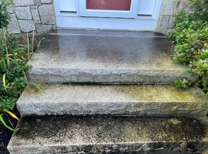 A set of concrete steps leading up to a door.