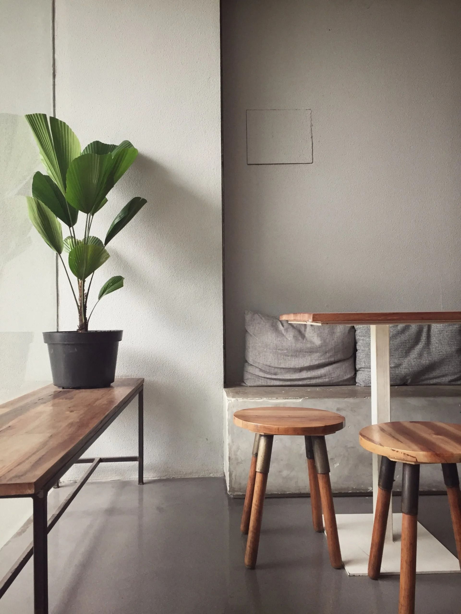 Minimal café interior with wooden stools, a table, and a potted plant by a wall