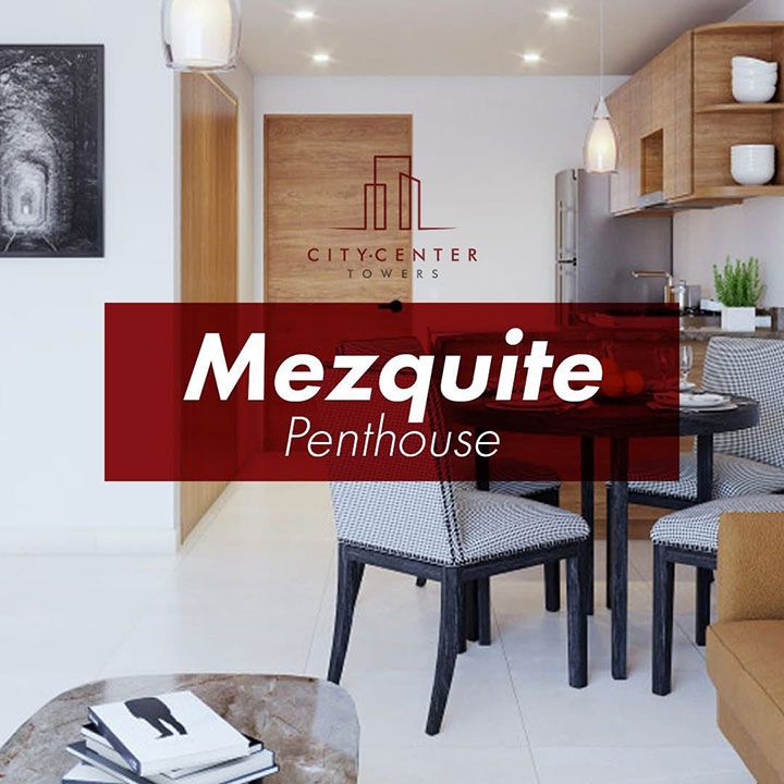 BIENES RAICES BRIANDA GARCIA - CC TOWERS DEPARTAMENTOS MEZQUITE