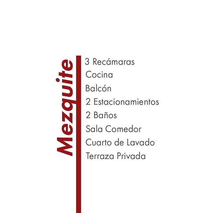 BIENES RAICES BRIANDA GARCIA - DEPARTAMENTOS MEZQUITE