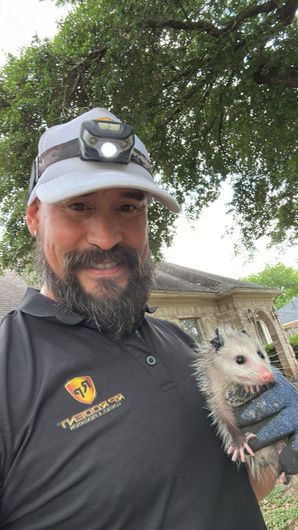 Man with headlamp holds an opossum in gloved hand; outdoors near a house.
