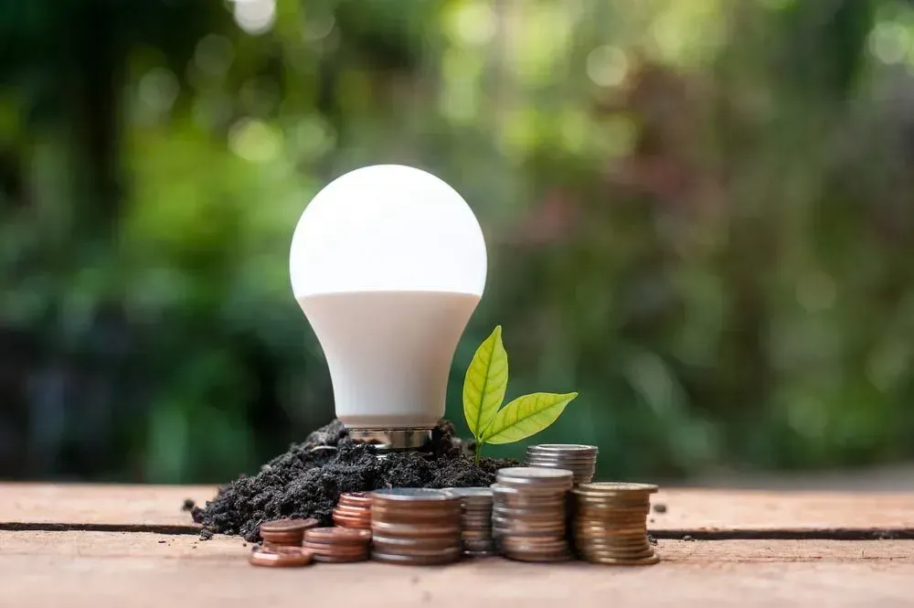 A Light Bulb Is Growing Out Of A Pile Of Coins On A Wooden Table โ Rapidcool Air Conditioning & Electrical In Dapto, NSW