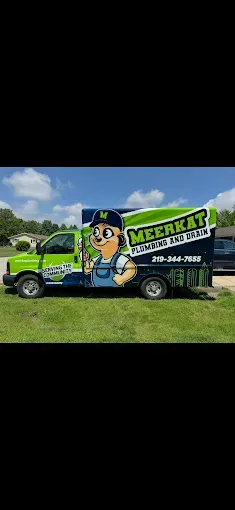 Green truck with a cartoon pest control ad parked on grass under a blue sky