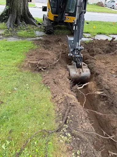 Backhoe excavating a trench through a grassy lawn near a large tree
