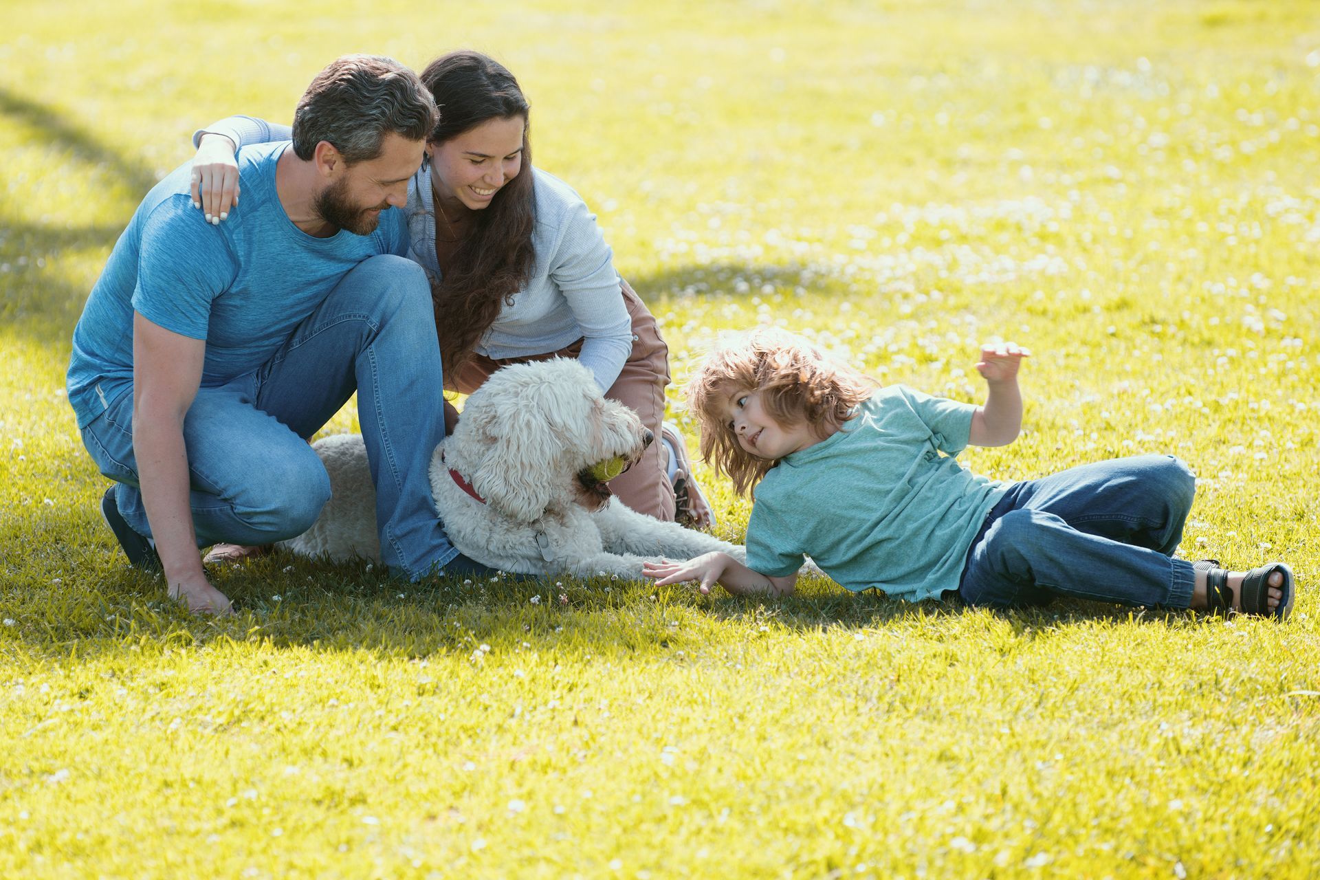 A family is playing with a dog in the grass.