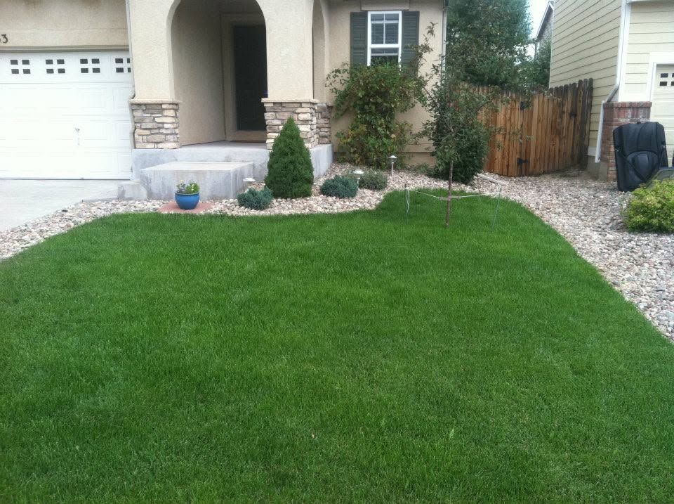 Front yard with neatly trimmed green lawn, stone landscaping, and a house entrance visible.