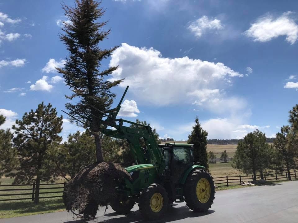 Green tractor lifting a large tree on a rural roadside under a blue sky