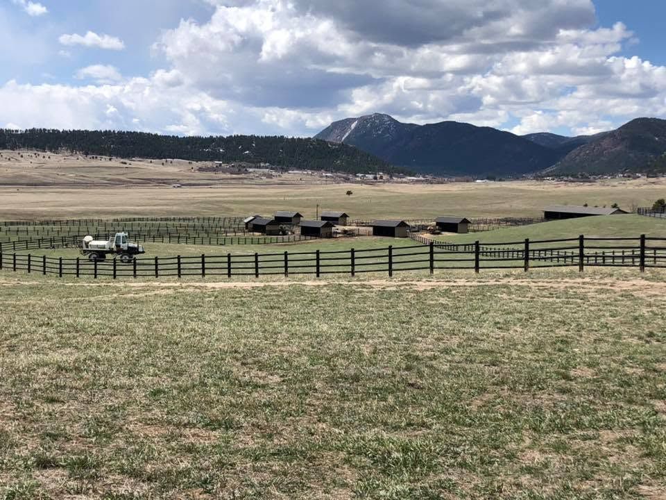 Horses grazing in a grassy field with a mountain backdrop under a partly cloudy sky.